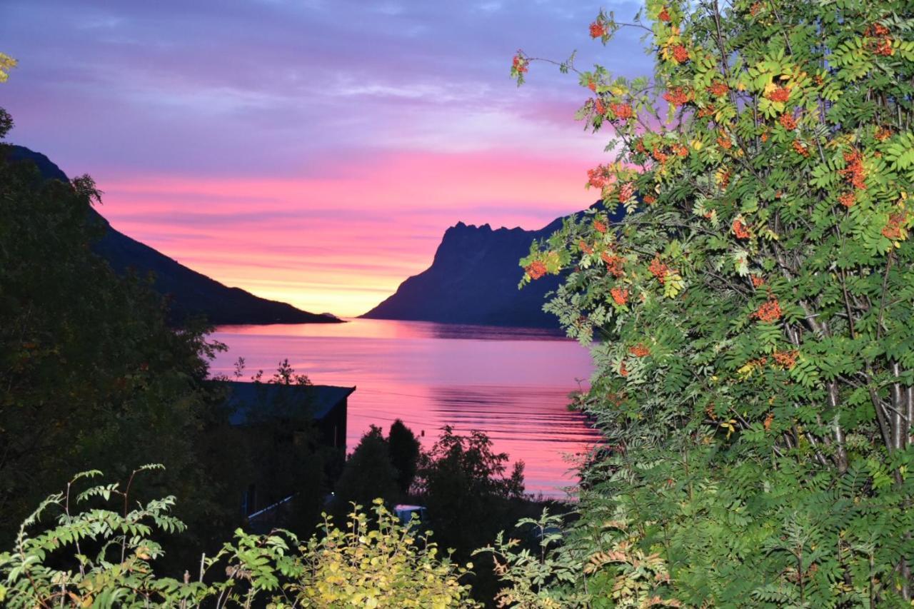 Hotel The Crush Ersfjordbotn Exterior foto